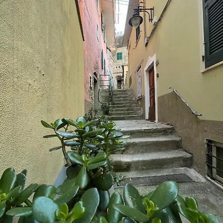 L'emporio Manarola